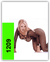 click here to view larger and order